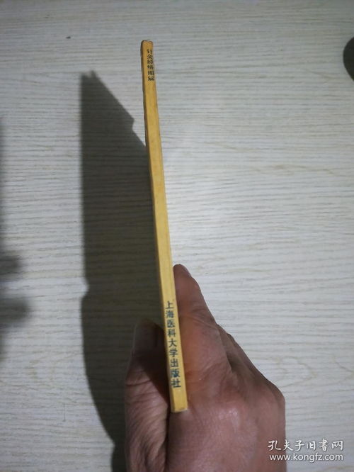 针灸经络图解