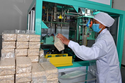 针灸助力西藏特色农畜产业发展,70年总产值达57亿元